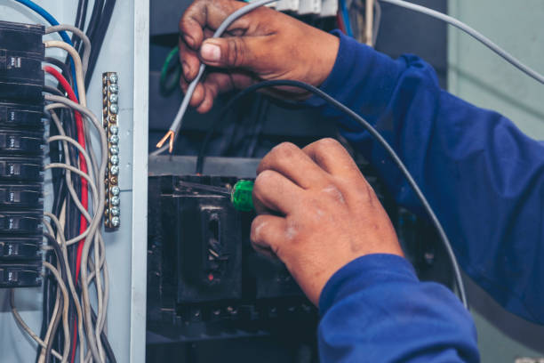 Best Electric Panel Repair  in Sesser, IL