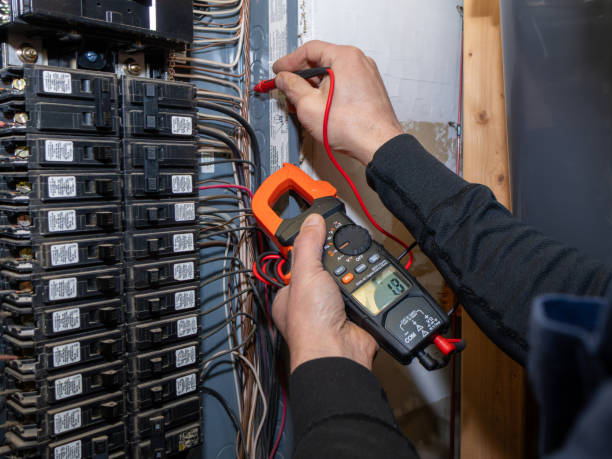 Best Home Electrical Repair  in Sesser, IL